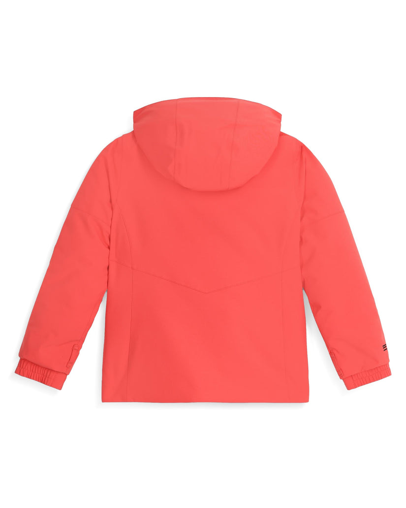 Back view of a red jacket with a hood on a white background